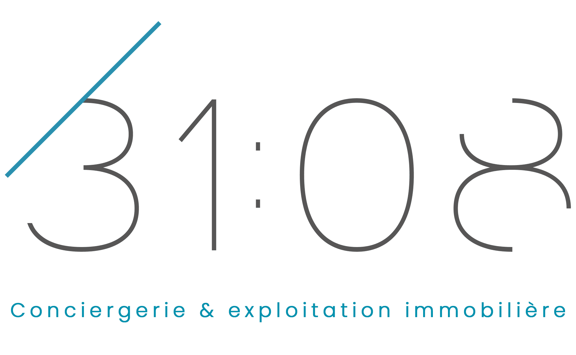 31:08 Conciergerie & exploitation immobilière
