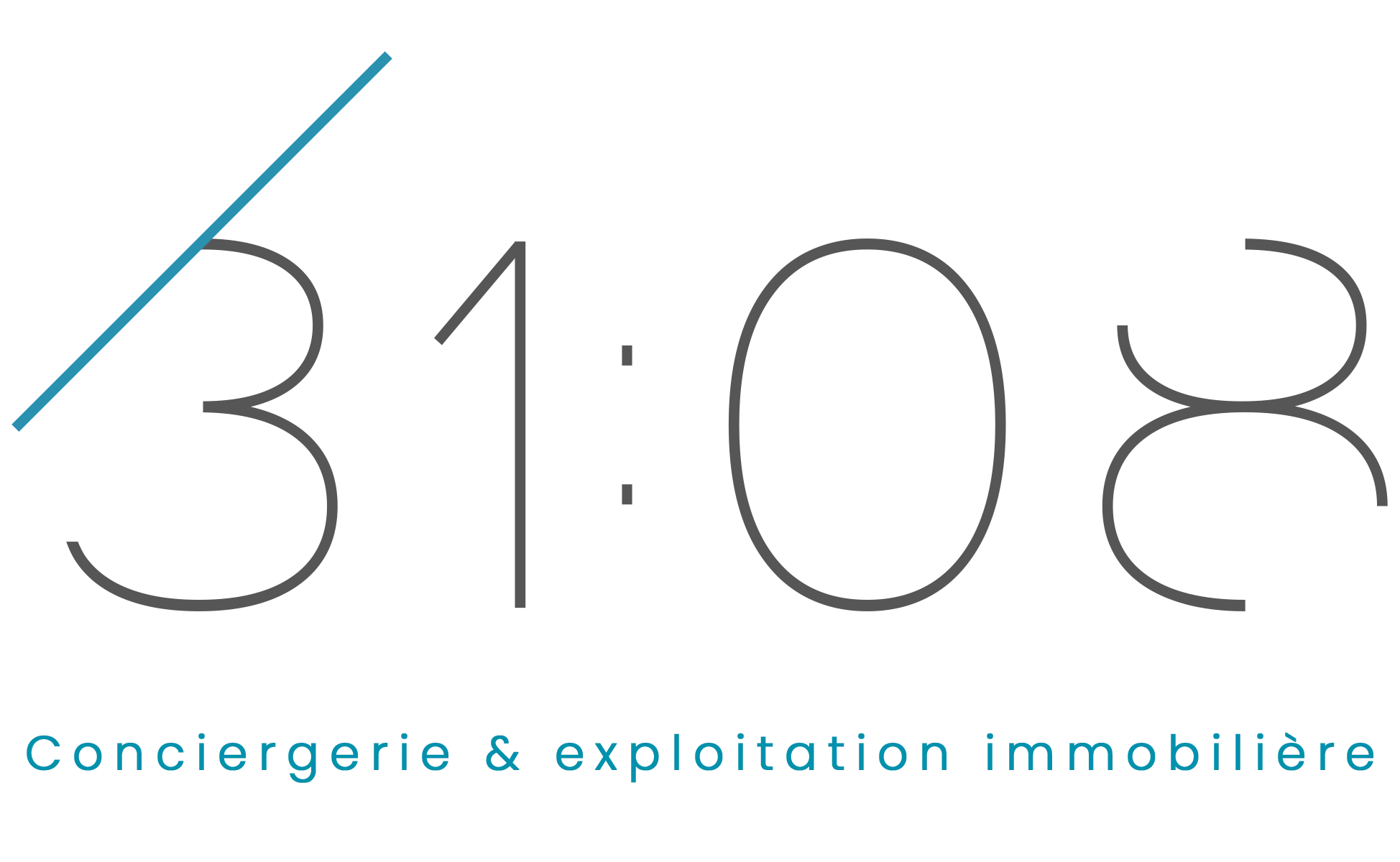 31:08 Conciergerie & exploitation immobilière